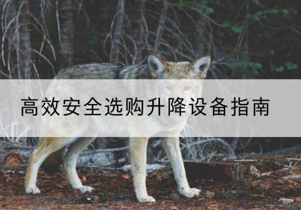 丽江升降货梯厂家推荐-*安全选购升降设备指南