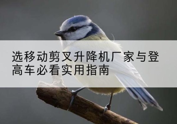 丽江电动升降机厂家-选移动剪叉升降机厂家与登高车必看实用指南